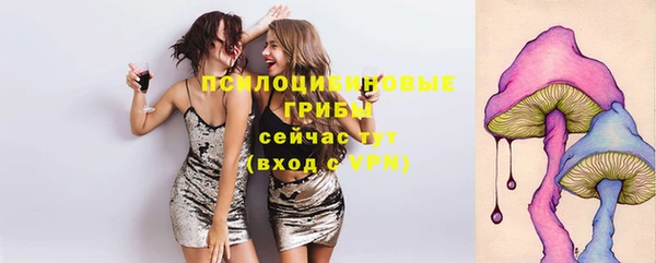 дурь Нязепетровск